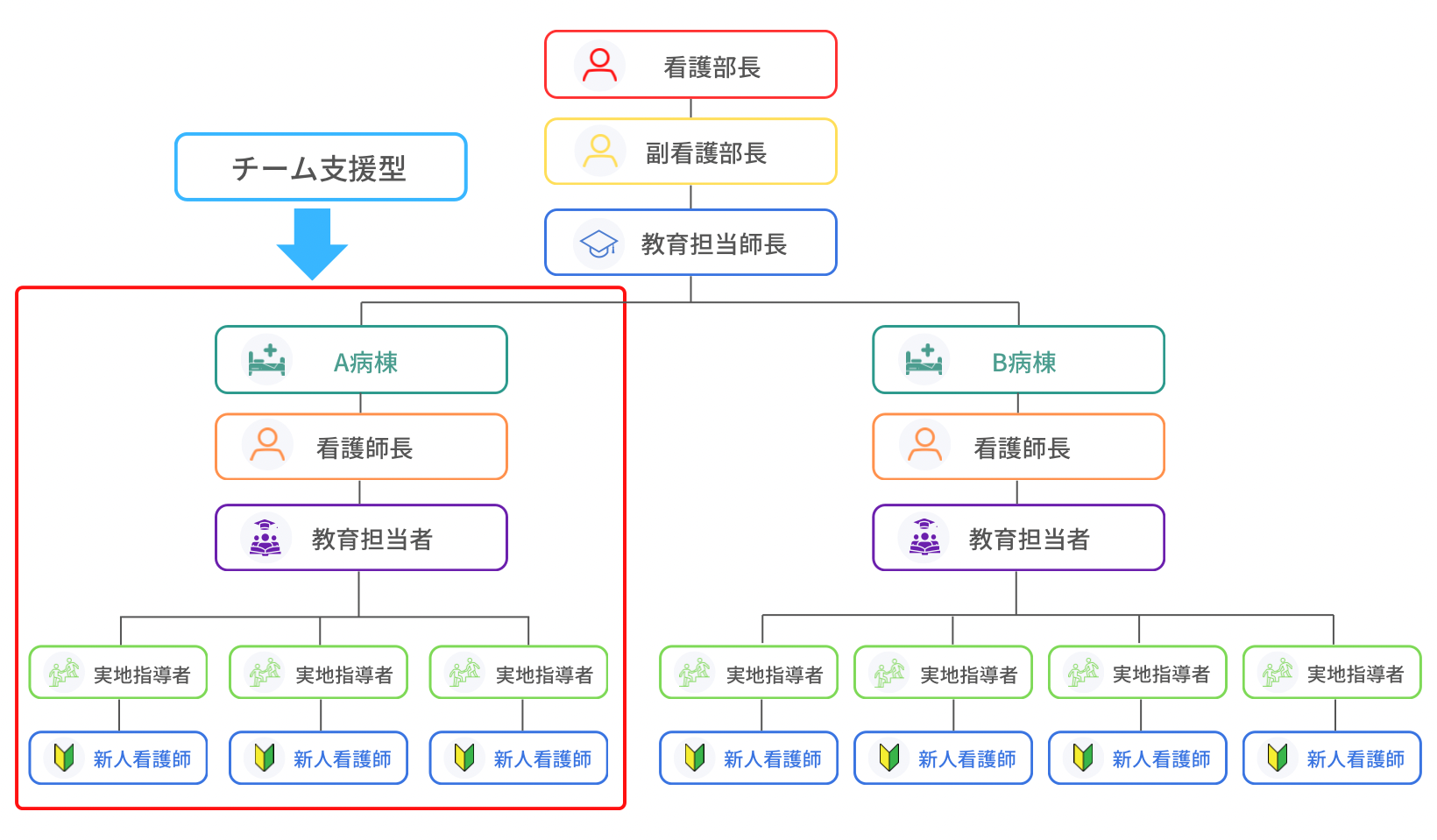 新人教育体制：看護部長・副看護部長・教育担当師長のもと、各病棟（A病棟・B病棟）に看護師長・教育担当者を配置し、実地指導者が新人看護師一人ひとりを担当するチーム支援型の体制